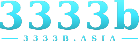 3333b logo